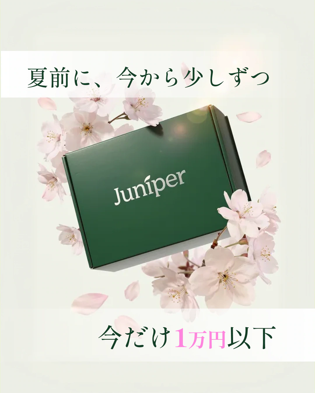 Spring product campaign: a Juniper box framed by cherry blossoms on a pale background.